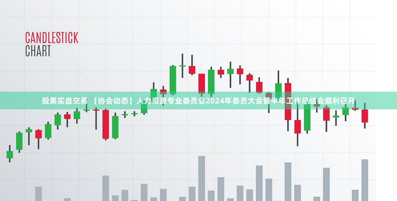 股票实盘交易 【协会动态】人力资源专业委员会2024年委员大会暨半年工作总结会顺利召开